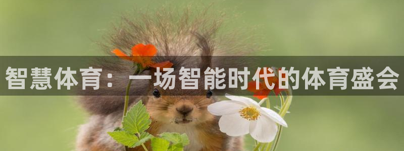 必一体育平台：智慧体