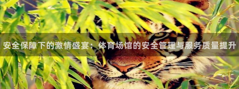 必一体育在哪下：安全