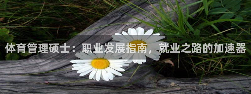 必一体育app官方下