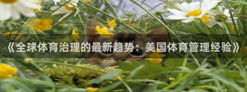 b体育官网下载入口a