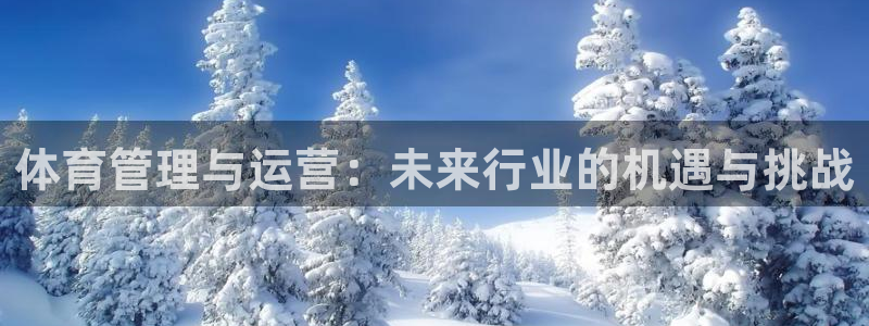 必一体育官方下载入口