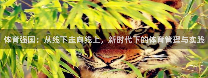 必一运动听的歌：体育强国：从线下走向线上，新时代下的体育管理