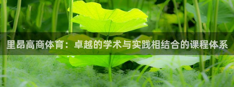 必一体育官网网站：里