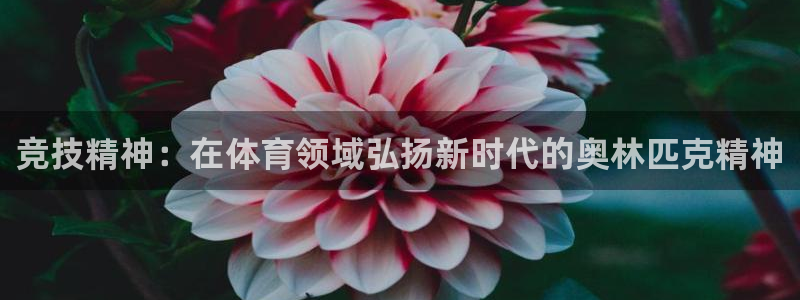 必一体育sport装