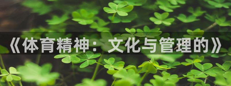 必一体育秀给网：《体育精神：文化与管理的》