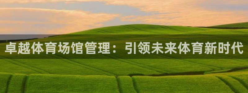 必一体育app官方正版下载：卓越体育场馆管理：引领未来体育新