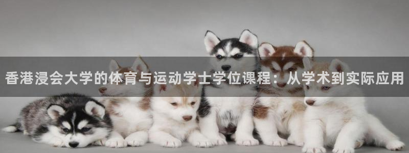 必一体育登录：香港浸