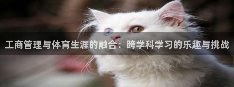 b体育必一下载：工商