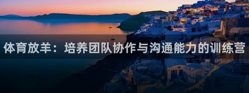 必一体育sport装