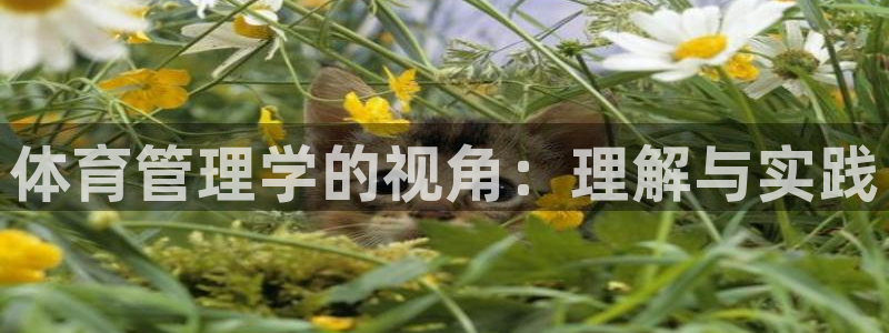 必一体育服下载最新版