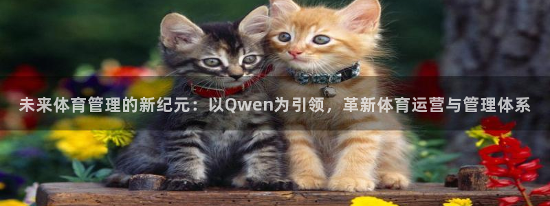 必一体育最新官网入口