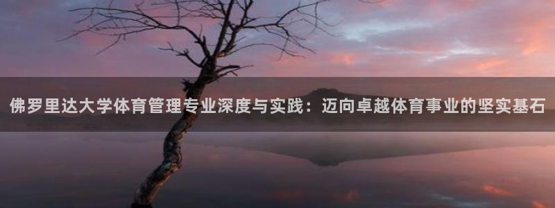 必一运动：佛罗里达大
