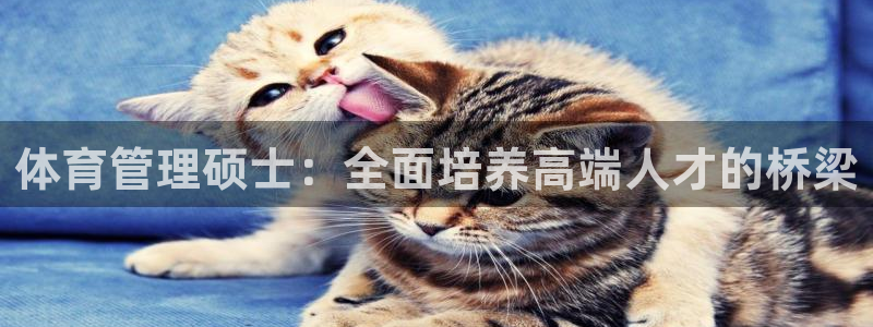 必一体育网页登录版官