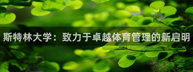 必一体育游戏玩法：斯