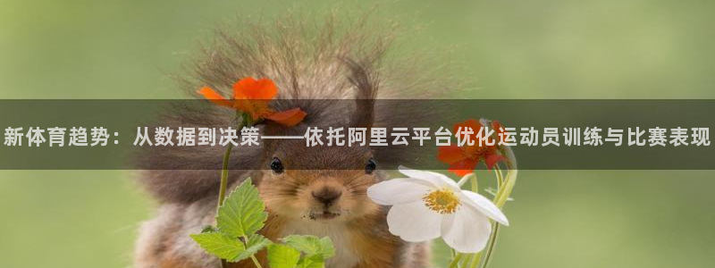 必一体育APP：新体