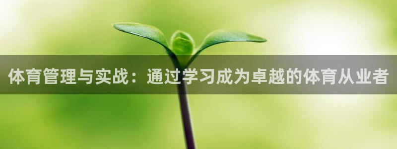 必一体育游戏特色：体