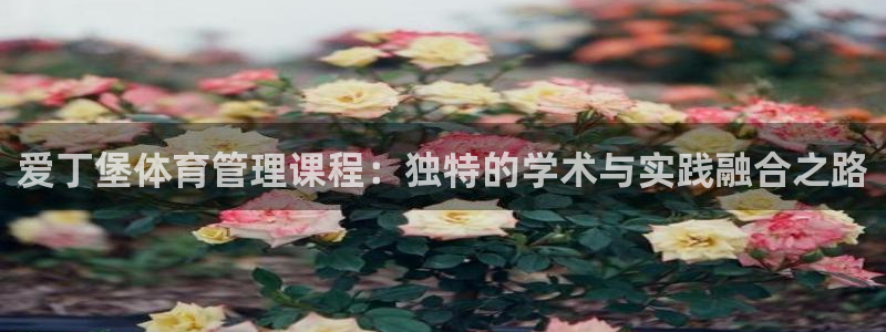 必一运动体育官网：爱