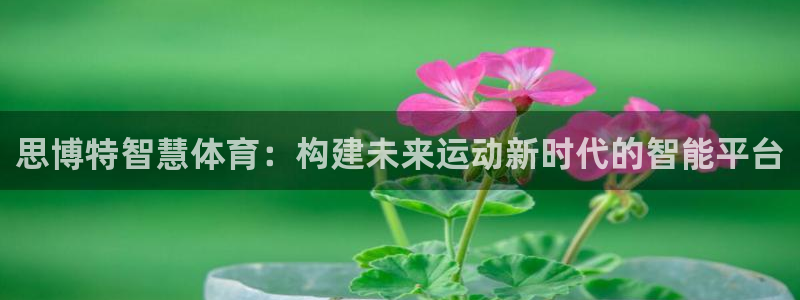 必一体育app官方网