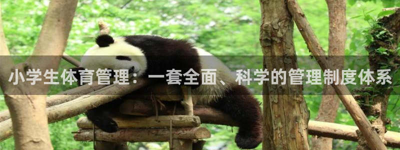 必一体育app官方下