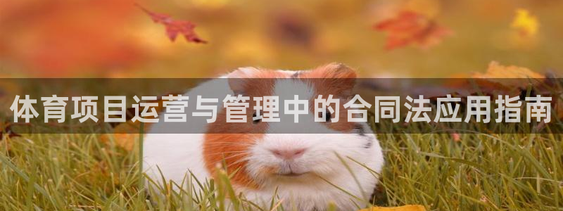 必一体育sport网
