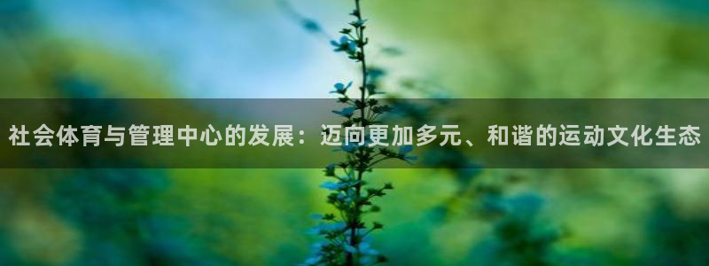 必一运动验证码：社会