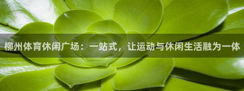 必一体育运动下载：柳