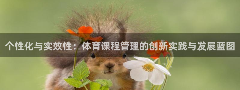 必一体育下载义：个性