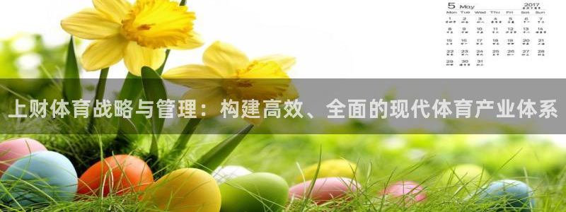 必一运动官网装机吧：上财体育战略与管理：构建高效、全面的现代