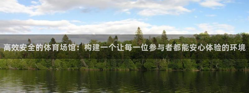 必一体育验证码：高效安全的体育场馆：构建一个让每一位参与者都