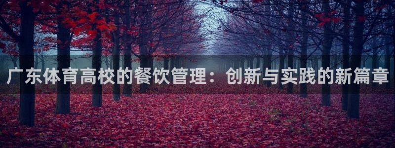 必一体育黑钱：广东体育高校的餐饮管理：创新与实践的新篇章