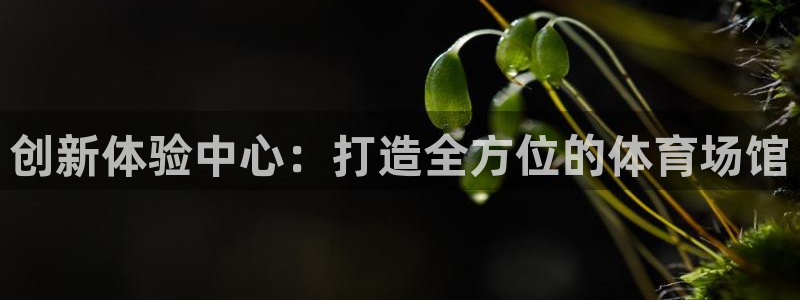 必一运动aop：创新