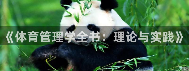 必一体育bsport