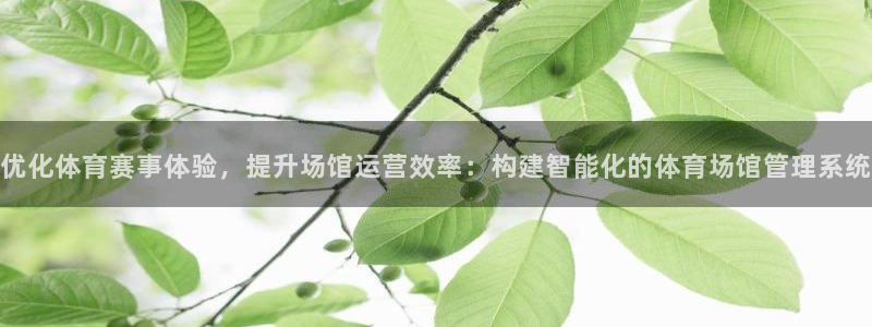 必一体育运动平台官网