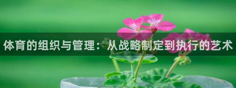 必一运动体育app：