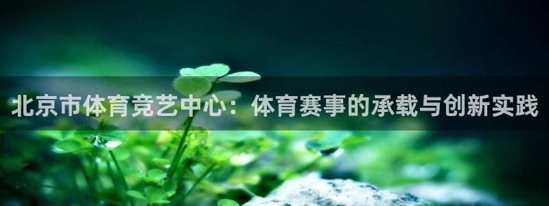 必一体育平台：北京市