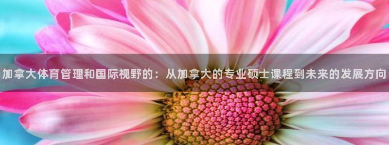 必一体育下载登入：加