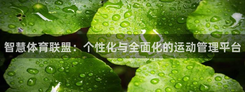 必一运动·(B-Sp