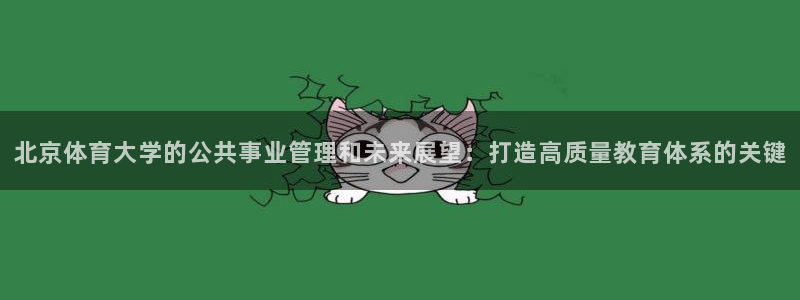 b体育必一运动网页版