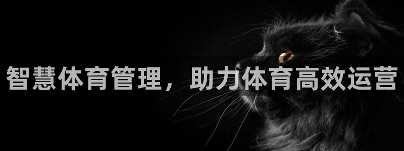 必一体育平台