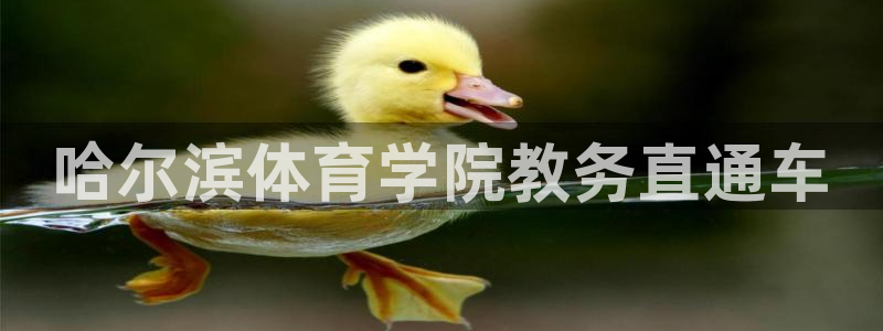 必一体育游戏玩法：哈