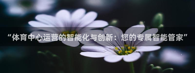 b体育必一运动网页版