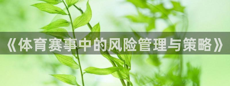 必一体育网页版登录：
