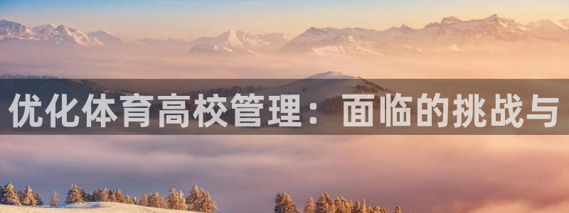 必一体育网页登陆：优