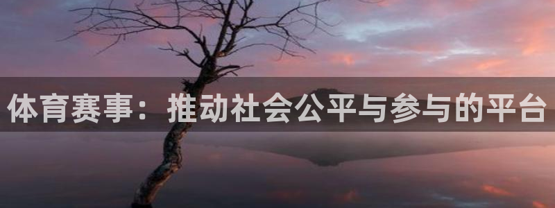 必一运动sport爱