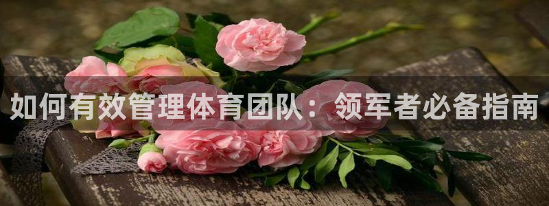 必一体育下载移动版