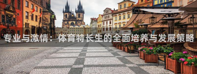 必一体育验证码：专业