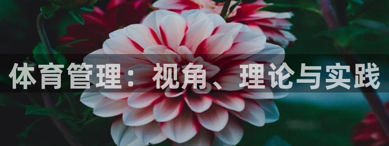 必一体育sport装