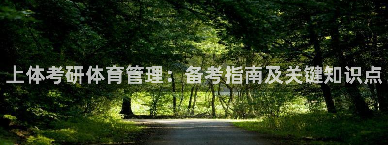 必一体育游戏玩法