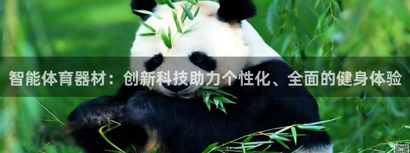 必一体育运动app下