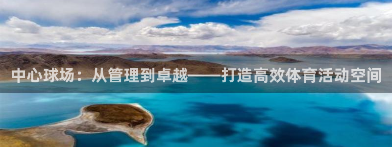 必一体育旧版：中心球